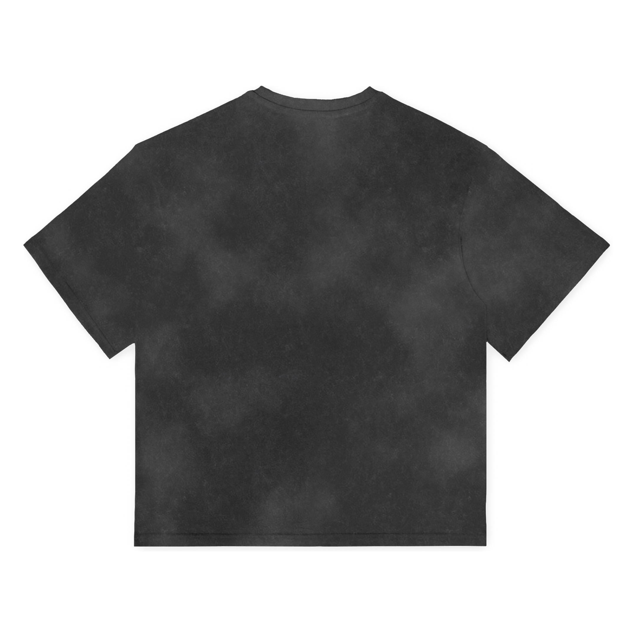 SK8 Washed Black T-shirt